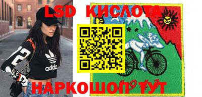 спиды Гусев